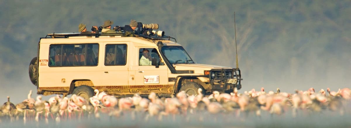 safari vehicle taking a group tour out